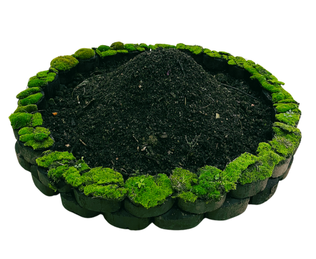 Die Reste auf der Bühne . Interdisziplinäre Erkundungen